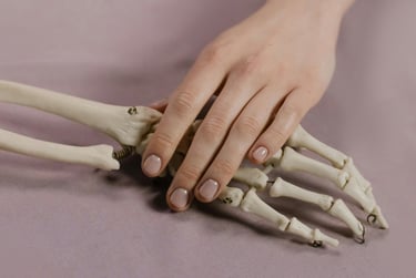 living hand and a skeleton hand 