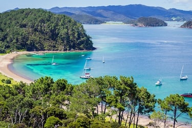 Bay of Islands  sailing adventure