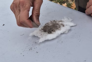 Taller del fuego, fuego con algodón y ceniza