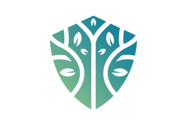 Legacy Consulting Solutions logo