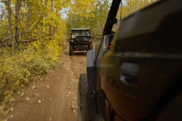 Polaris Spec-ad