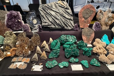 A collection of geological specimens including green malachite, purple amethyst crystals, and ancient fossils.
