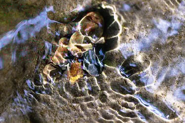 Eau et lumière Pyrénées