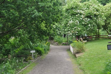 View of Westbury Wildlife Park