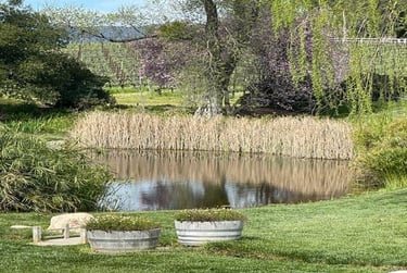 toy-farm-wine-country-home.jpg