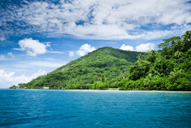 a lush green island surrounded by blue water