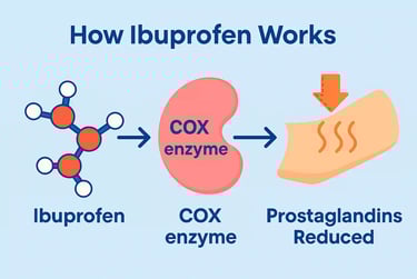 Flat infographic showing how ibuprofen reduces inflammation by blocking COX enzymes and prostaglandins.