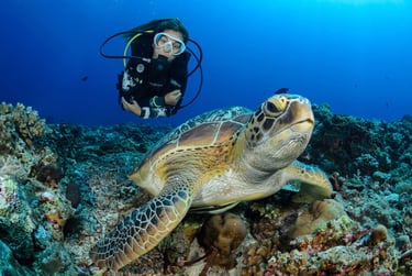 Taucherin über eine Schildkröte