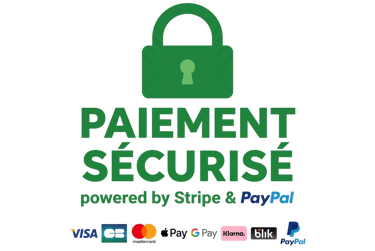 Secure payment badge featuring a green padlock and logos for Stripe, PayPal, Visa, and Mastercard.
