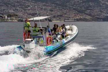 boat pass by towards Funchal bay 