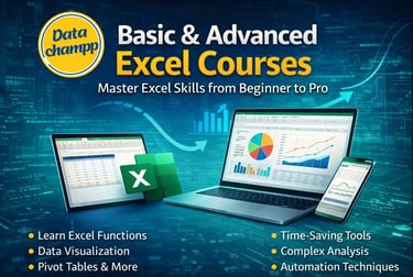 Basic & Advance Excel Course by Datachampp Online