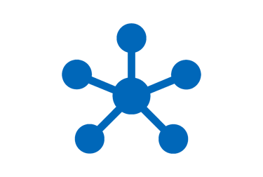 Strategic Partner