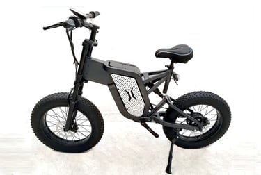 off road ebike