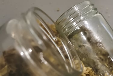 Glass jars suitable for a self watering moss pole