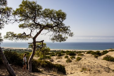 Patara strand