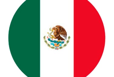 Bandera Mexico Bar El Tambucho Jerez