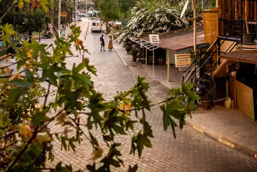 Gelemiş