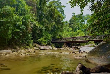 natural river water burmese pool taiping