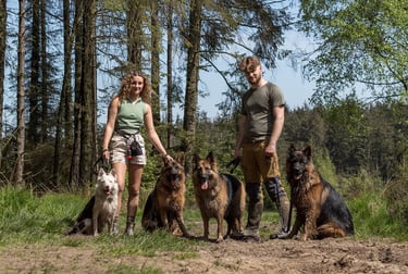 two dog walkers on a group walk with multiple herders.