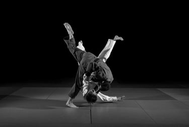 Judo Club Aijaku - Paris 15 & 16