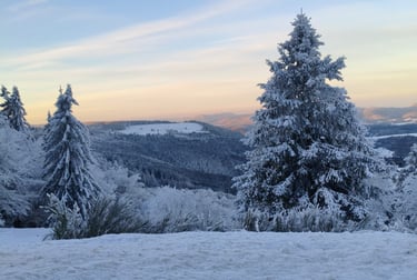 a snow covered mountain with trees and a moon