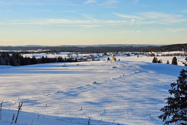 a person is skiing down a snowy hill