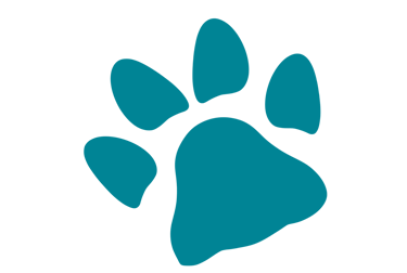 Coussinet chien bleu canard