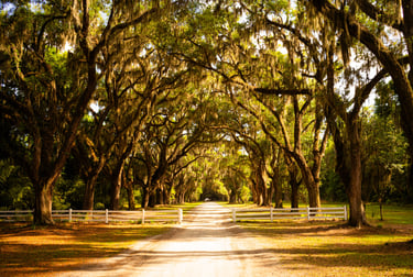 Wormsloe