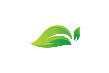 a green leafy plant with a leafy green background