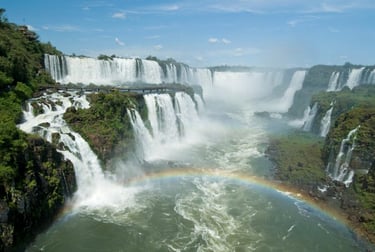 Contrate uma Franquia de Curso de Banho e Tosa Foz do Iguaçu