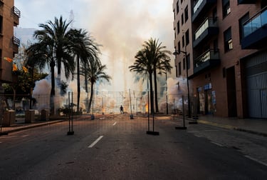 Mejor foto del año 2025 color