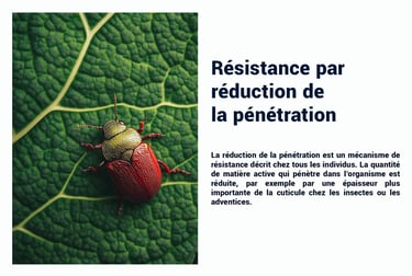 PESTICIDES RESISTANCE RÉDUCTION PÉNÉTRATION