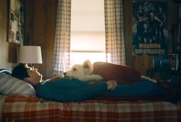 Superman and Krypto take a Well-deserved Rest