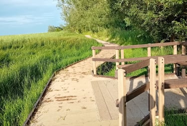 Board walk along the marsh side