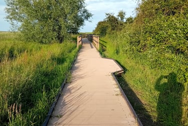 Board walk along the marsh side