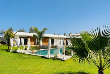 a house with a pool and a palm tree