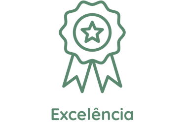 ícone de excelência - um selo com uma estrela