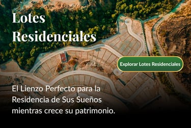Lotes Residenciales en Bosque Real. Vista aérea de la planificación maestra de terrenos inversión