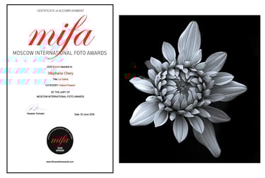 Récompense internationale photographie. Moscow international foto awards