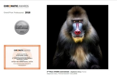 Récompense internationale photographie. Chromatic awards