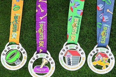 2017 runDisney Virtual Summer Series Medals
