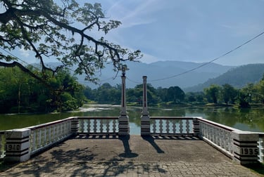 Silver Jubilee Jetty Taiping Lake Garden