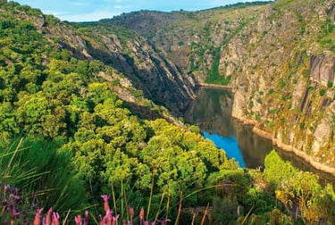 Linha de comboio junto ao Rio Douro na primavera