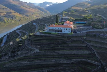 Vista panorâmica do Vale do Douro com vinhas em socalcos e o rio