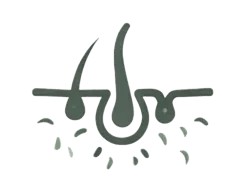 Icône soin cheveux pour retouche racines au salon l'Arabesque à Guilherand-Granges.