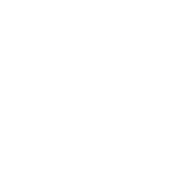 logo livraison fleur ergué quimper