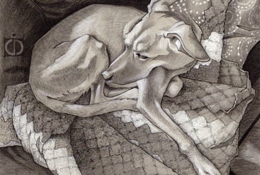 Pet portrait commissions