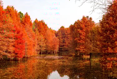Sun Yat-Sen's Mausoleum, Nanjing