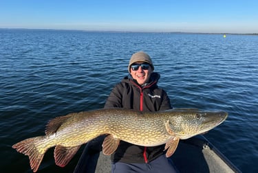 gros brochet des landes