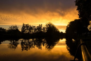 a sunset over a river with birds flying over it